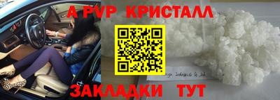 шишки Камышлов