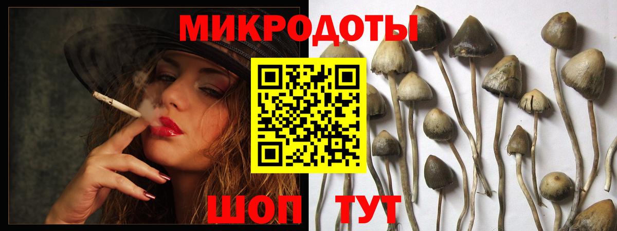 Псилоцибиновые грибы Magic Shrooms Истра