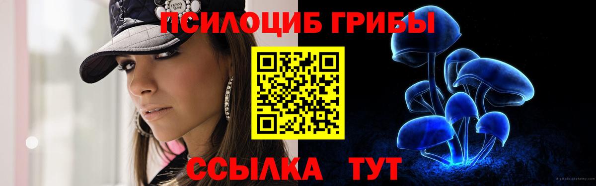 Галлюциногенные грибы Psilocybine cubensis  Вход с VPN  Истра 
