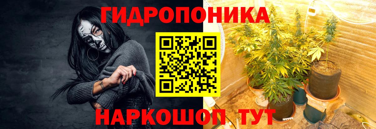 Канабис Amnesia  МАРИХУАНА конопля  Истра  МАРИХУАНА ГИДРОПОН  Вход с VPN 
